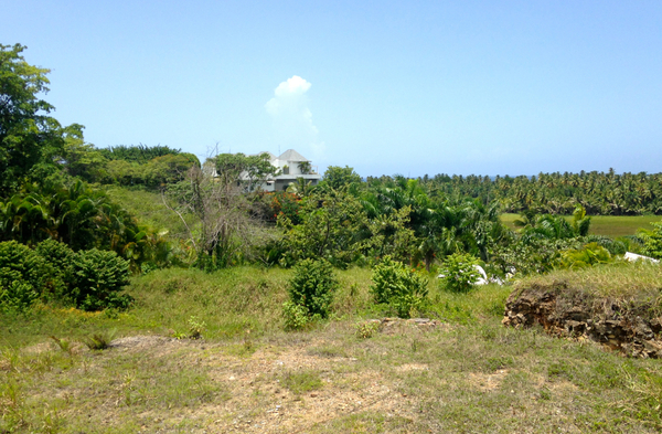 Lot in La Barbacoa, Dominican Republic