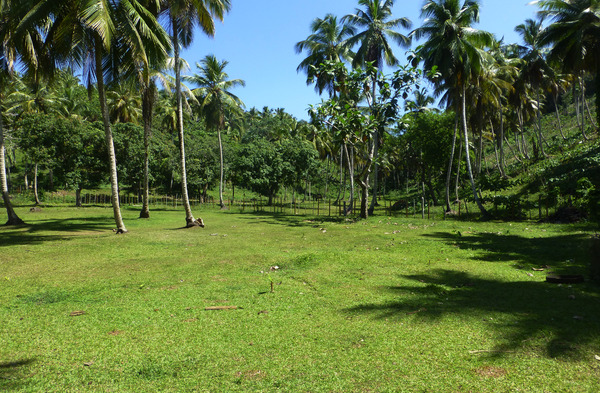 Lot in El Limón, Dominican Republic