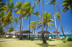 Commercial in Las Terrenas, Dominican Republic