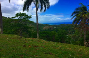 House in Las Terrenas, Dominican Republic