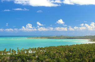Condo in Cosón, Dominican Republic