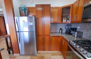 Condo in Cosón, Dominican Republic
